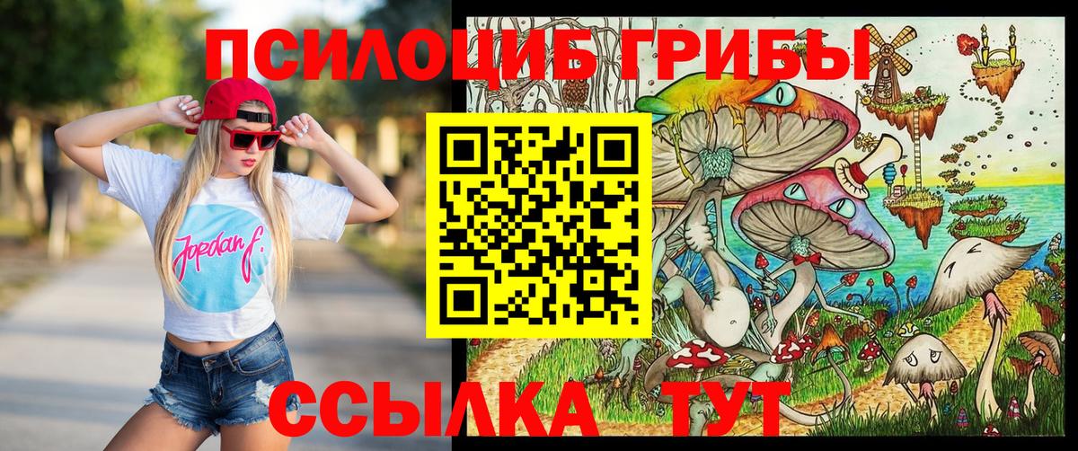 Галлюциногенные грибы Psilocybe  Вход с VPN  Менделеевск  Псилоцибиновые грибы мицелий 